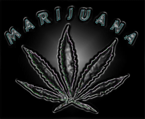MARIJUANA